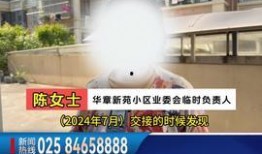 靖江爆料今天新闻视频,今日新闻视频聚焦热点事件回顾